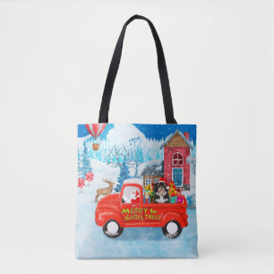 Havanese-Hund-Weihnachtslieferwagen-Schnee