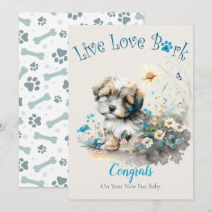 Havanese-Hunde Adoption, Gotcha-Tag Karte