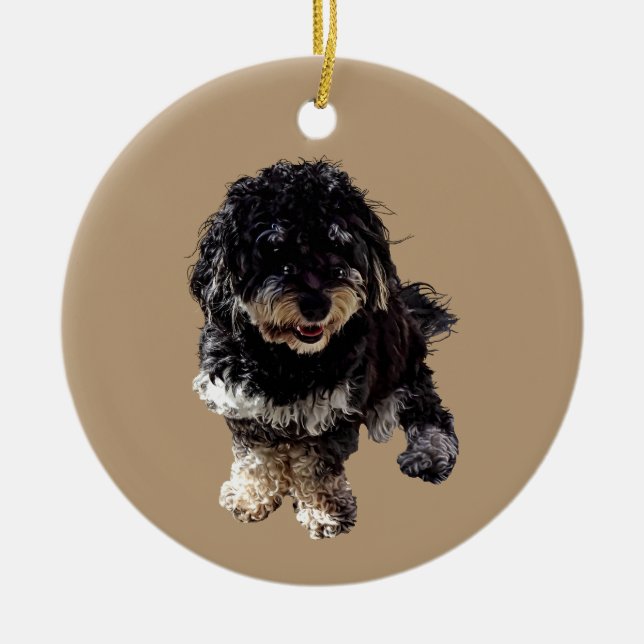 Havanese Keramik Ornament (Vorne)