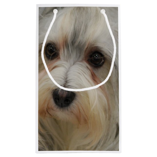 Havanese Kleine Geschenktüte (Rückseite)