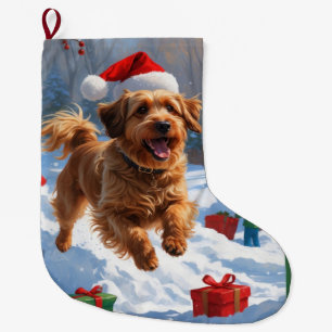 Havanese läuft im Schnee mit Weihnachtsmütze Großer Weihnachtsstrumpf