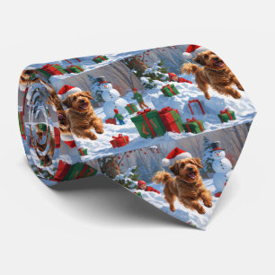 Havanese läuft im Schnee mit Weihnachtsmütze Krawatte