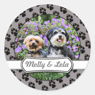 Havanese - Lola & Yorkie - Molly Runder Aufkleber