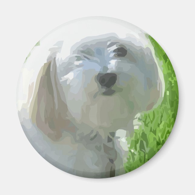 Havanese Magnet (Vorne)