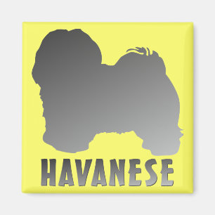 Havanese Magnet