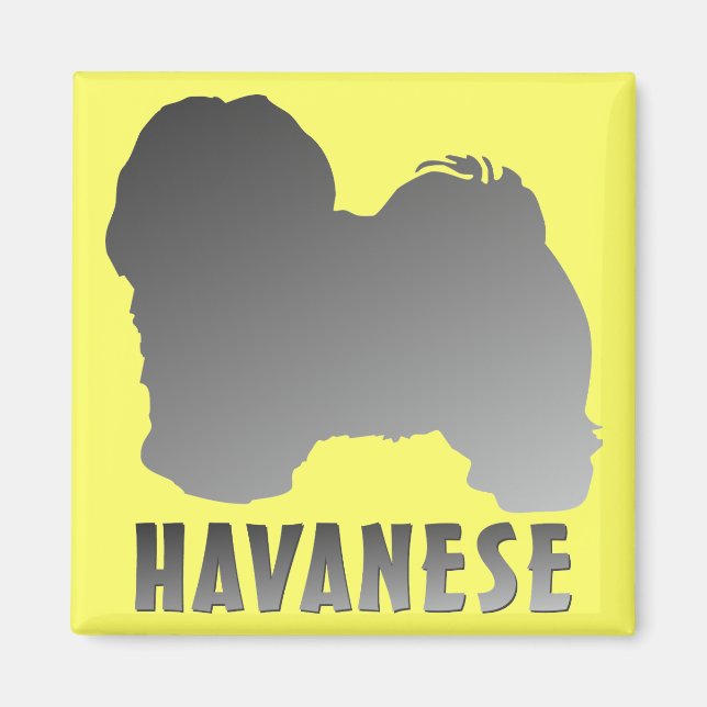 Havanese Magnet (Vorne)