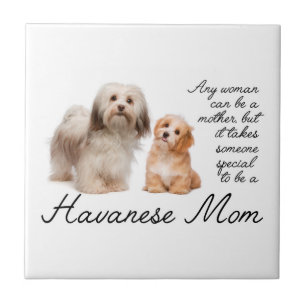 Havanese Mama Keramik Tile Fliese