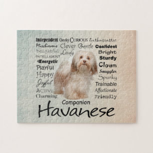 Havanese Merkmal-Puzzle Puzzle