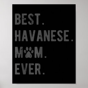 Havanese-Mutter überhaupt - Lustiges Havanese-Hund Poster