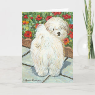 Havanese n Poppies Art Print Gifts & Cards Karte