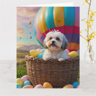 Havanese Ostereier Karte