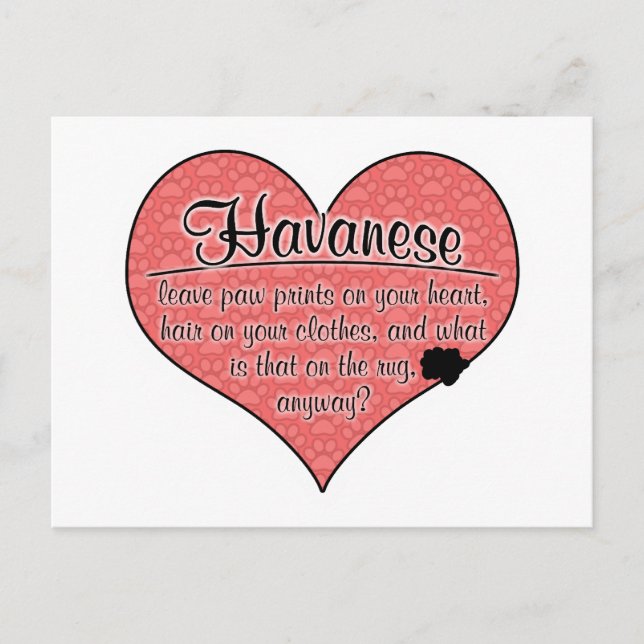 Havanese Paw Prints Hunde Humor Postkarte (Vorderseite)