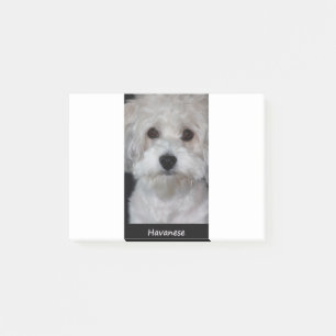 Havanese Post-it Klebezettel