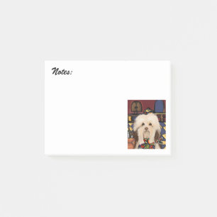 HAVANESE POST-IT KLEBEZETTEL