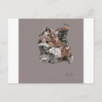 Havanese Puppy Postkarte