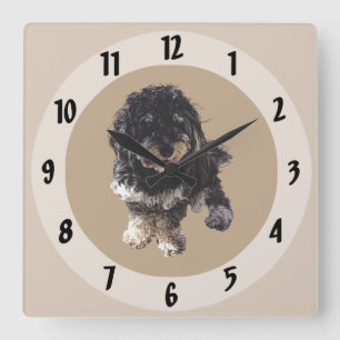 Havanese Quadratische Wanduhr
