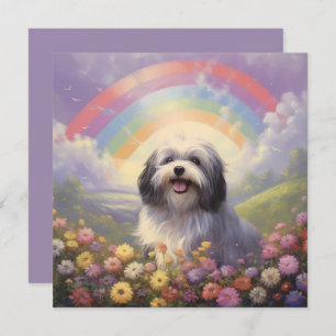 Havanese Rainbow Bridge Individuelle Name Dog Beil