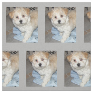 Havanese Rettung Puppt Stoff