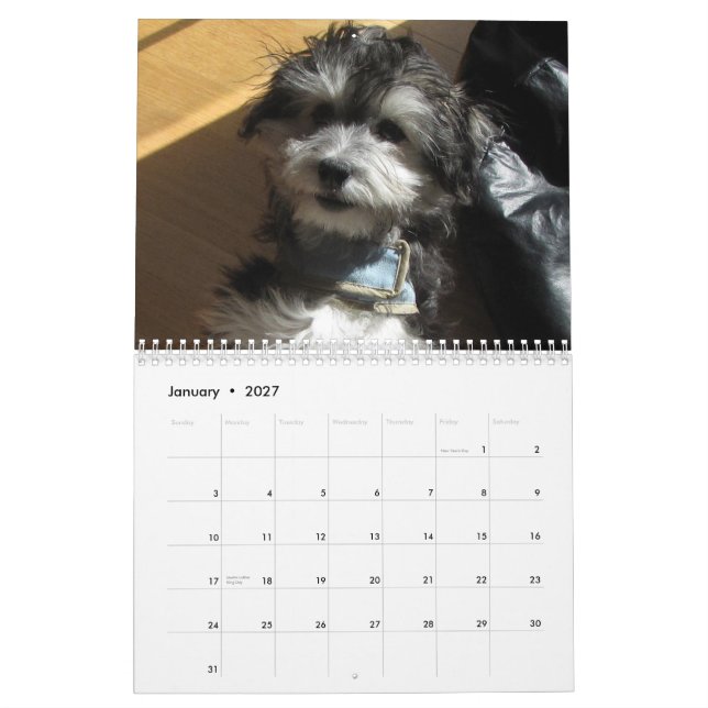 Havanese Rettungs-Kalender Kalender (Jan 2027)