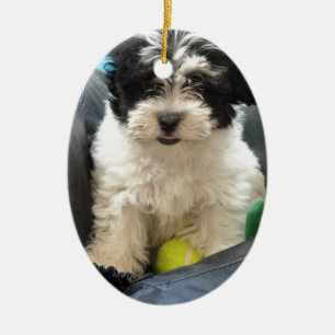 Havanese Rettungs-Welpe Schwarz-weiß Keramik Ornament
