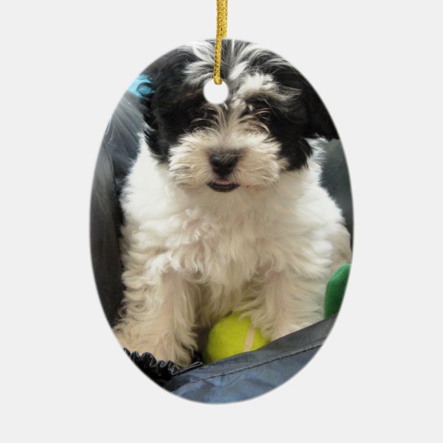 Havanese Rettungs-Welpe Schwarz-weiß Keramik Ornament (Vorne)