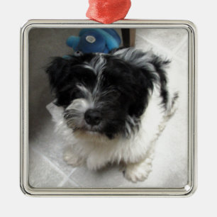 Havanese Rettungs-Welpe Schwarzweiss Silbernes Ornament