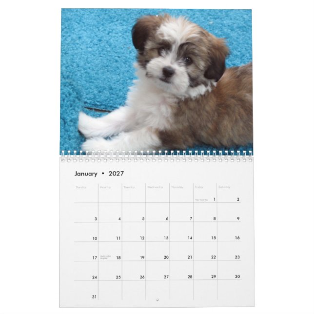 Havanese Rettungs-Welpen-Kalender Kalender (Jan 2027)