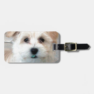 Havanese Rettungs-Welpen-TAN lustiges grünes Gepäckanhänger