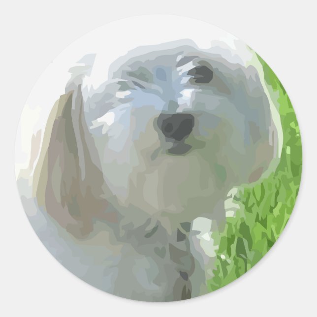 Havanese Runder Aufkleber (Vorderseite)