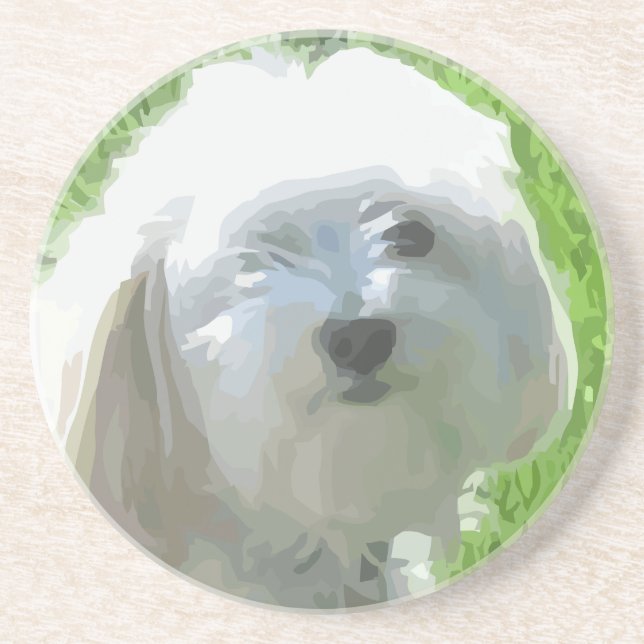 Havanese Sandstein Untersetzer (Vorne)