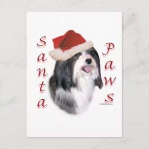 Havanese Santa Paws Feiertagspostkarte