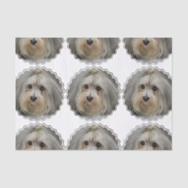 Havanese Seidenpapier (Vorderseite)