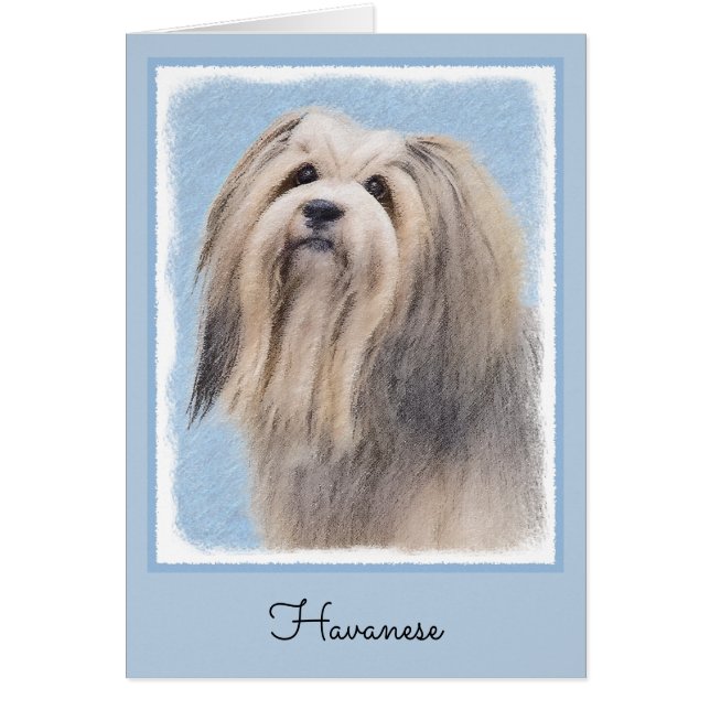 Havanese (Silber) Malerei - Niedliche Original Hun (Vorne)