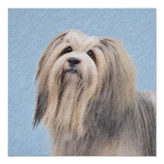 Havanese (Silber) Malerei - Niedliche Original Hun Poster (Vorderseite)