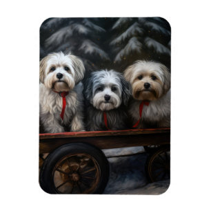 Havanese Snowy Sleigh Weihnachtsdekor Magnet
