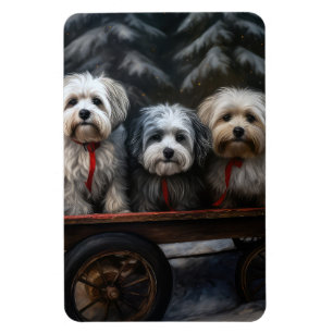 Havanese Snowy Sleigh Weihnachtsdekor Magnet