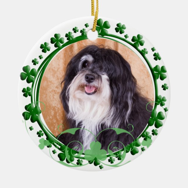 Havanese St Patrick Tagesverzierung Keramikornament (Vorne)