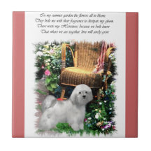 Havanese Summer Garden