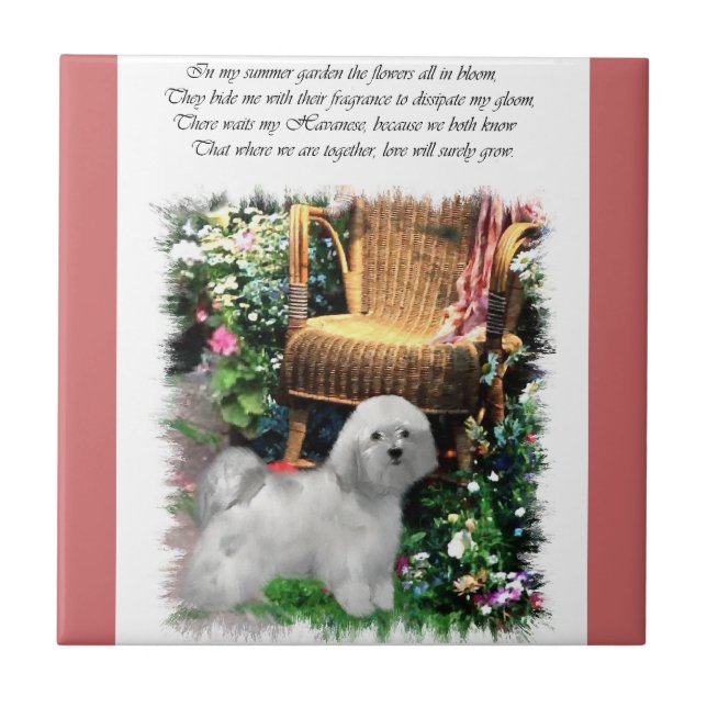 Havanese Summer Garden Fliese (Vorderseite)