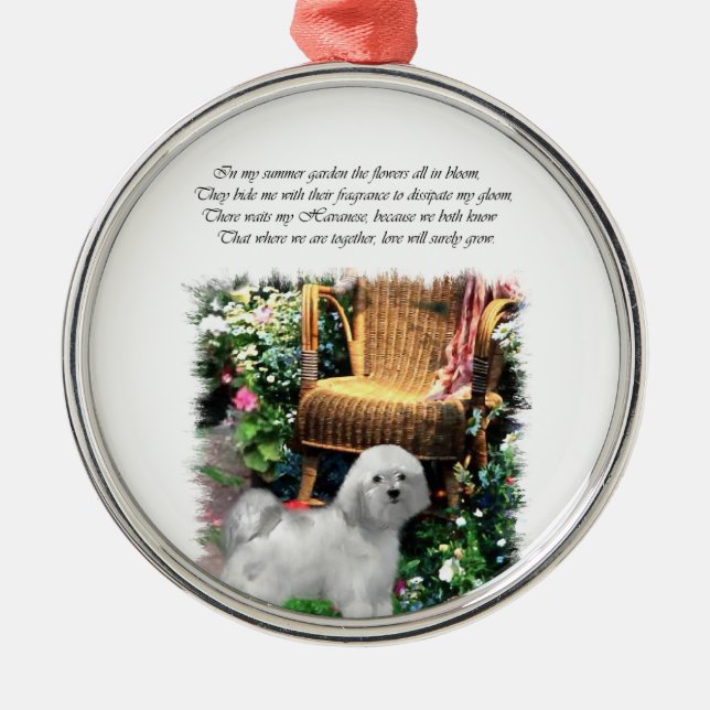 Havanese Summer Garden Silbernes Ornament (Vorne)