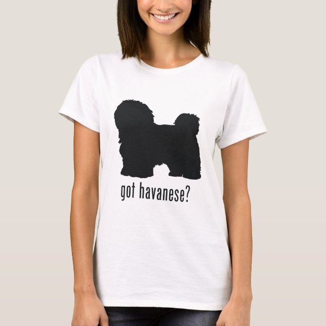 Havanese T-Shirt (Vorderseite)