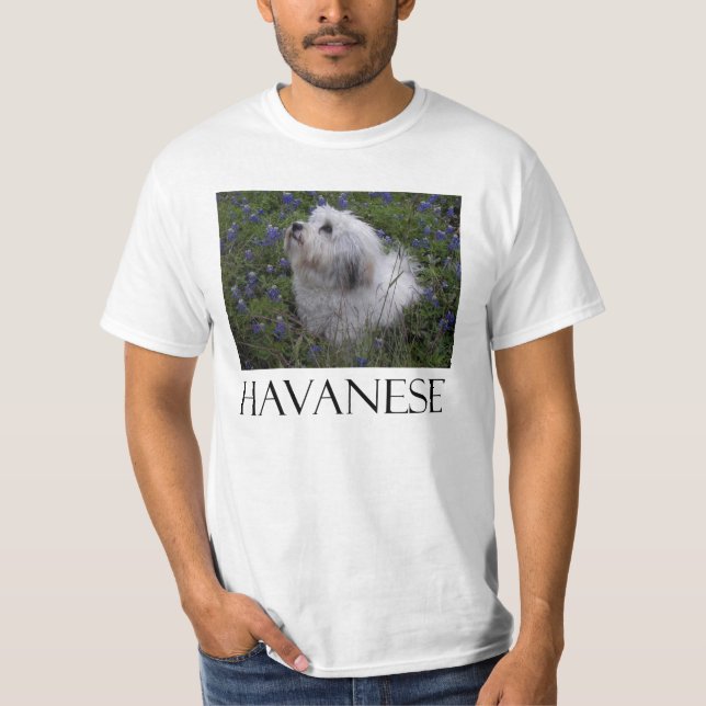 HAVANESE T-Shirt (Vorderseite)