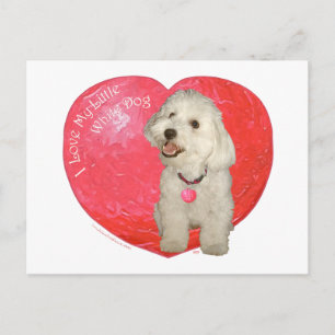 Havanese Valentinstag Feiertagspostkarte