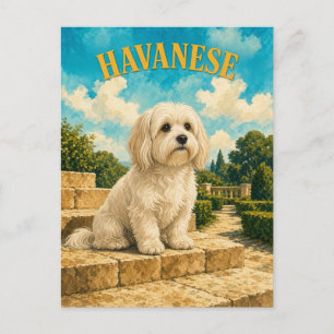 Havanese, Vintage-Wasserfarben-Hundekunst Postkarte