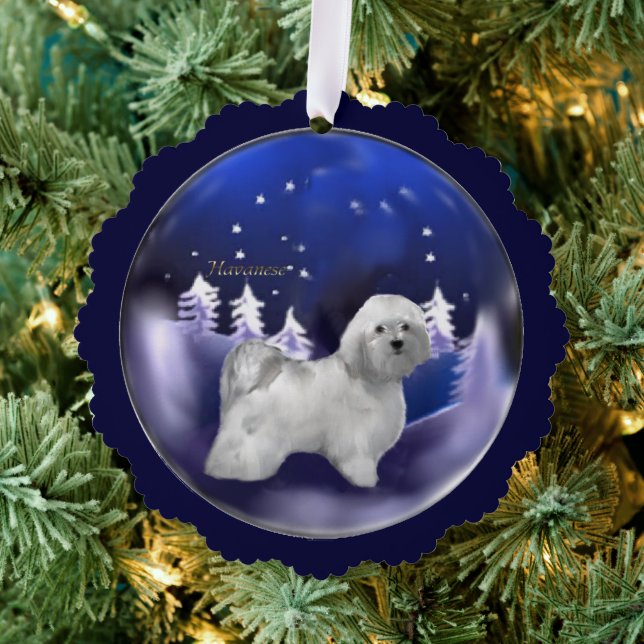 Havanese Weihnachten Ornament Karte (Insitu (Baum))