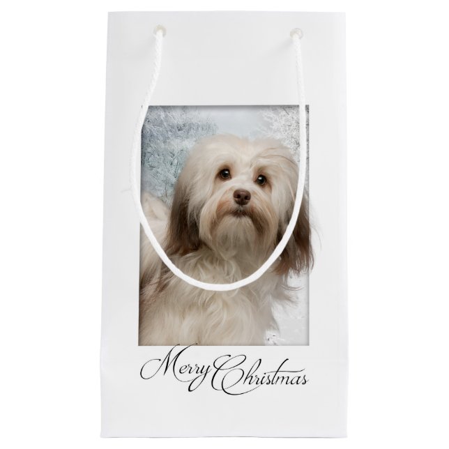 Havanese Weihnachtsgeschenk-Tasche Kleine Geschenktüte (Vorderseite)
