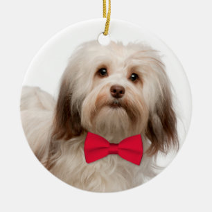 Havanese Weihnachtsverzierung Keramikornament