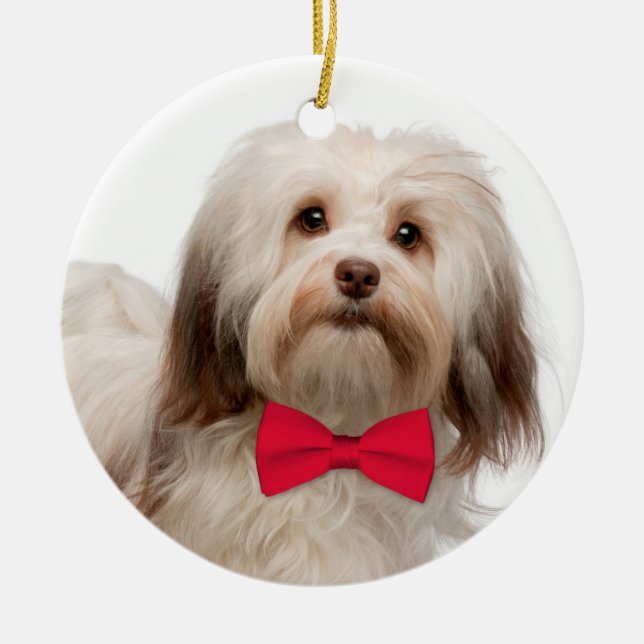 Havanese Weihnachtsverzierung Keramikornament (Vorne)