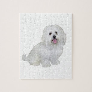 Havanese (weiß) puzzle