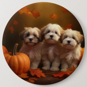 Havanese Welpe Autumn Delight Pumpkin Button